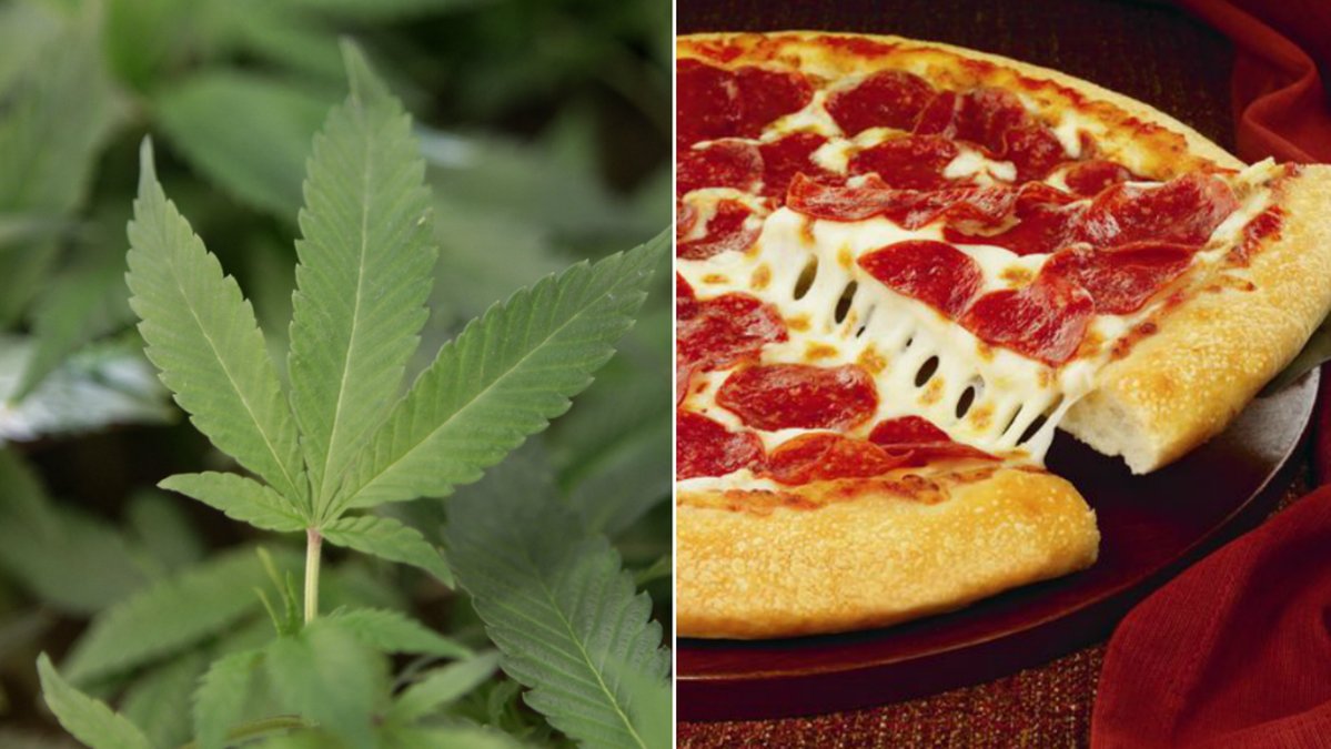 Ny forskning visar varför marijuana gör att man blir hungrig.